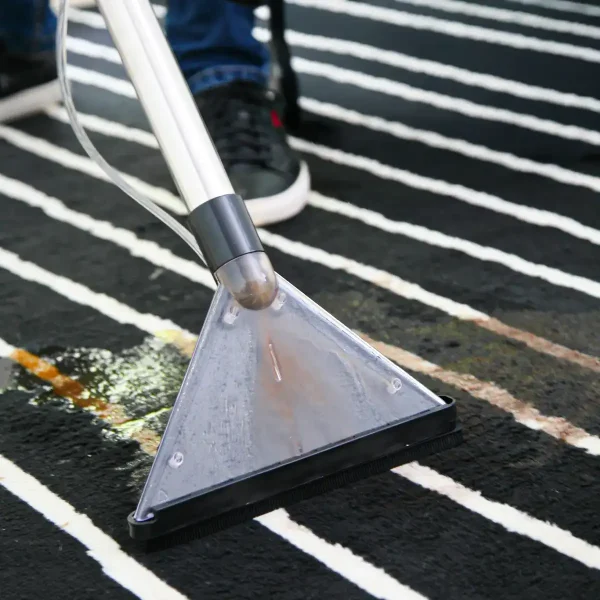 Profesionalni dubinski usisavač IPCC-1420 - IFS Tech